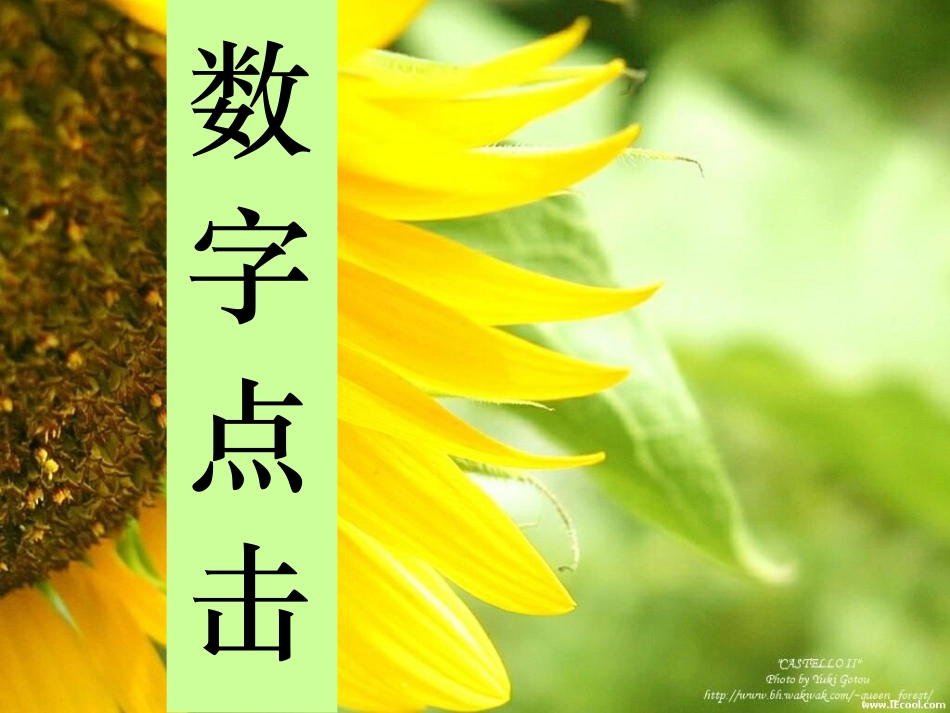 课件PPT：防范侵害保护自己_第2页