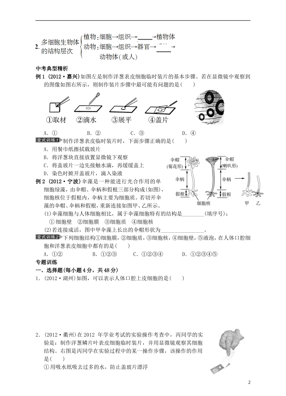 浙江省2013年初中科学毕业生学业考试复习-专题2-细胞(无答案)-浙教版_第2页