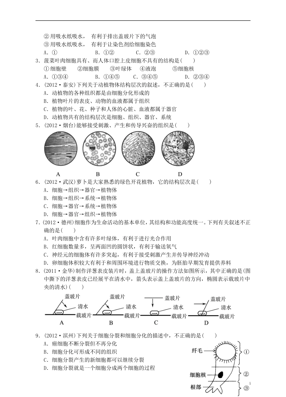 浙江省2013年初中科学毕业生学业考试复习-专题2-细胞(无答案)-浙教版_第3页