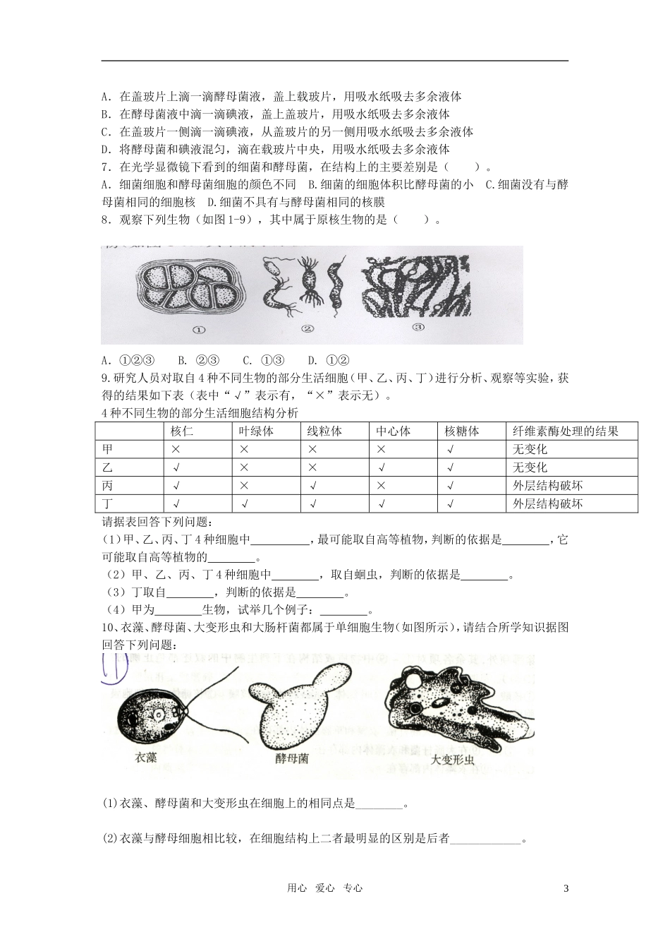 高中生物《真核细胞与原核细胞》同步练习6-中图版必修1_第3页