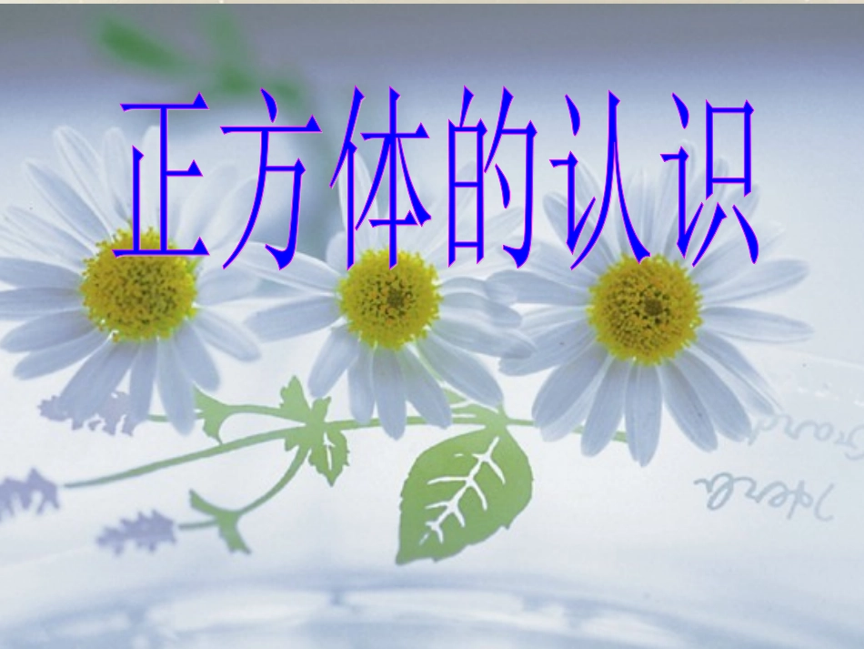 -正方体的认识_第1页