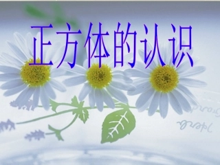 -正方体的认识