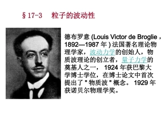 3-粒子的波动性-(2)