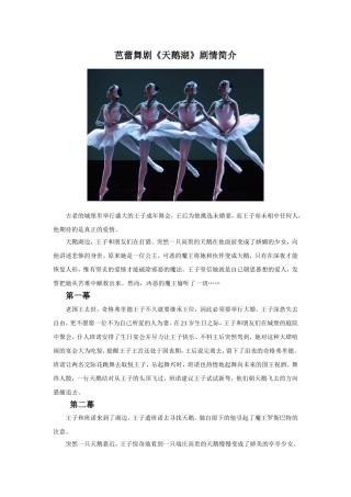《天鹅湖》剧情简介-1