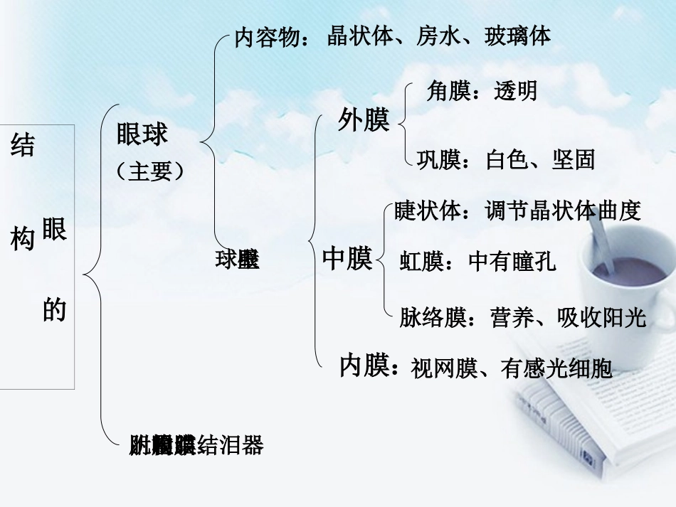 浙江省泰顺县第七中学七年级科学下册《眼球的结构》课件-浙教版_第3页