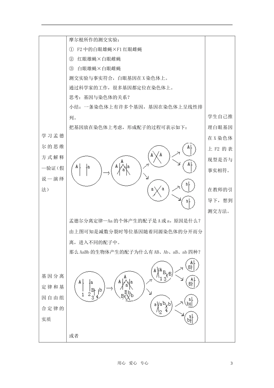 高中生物《基因在染色体上》教案12-新人教版必修2_第3页