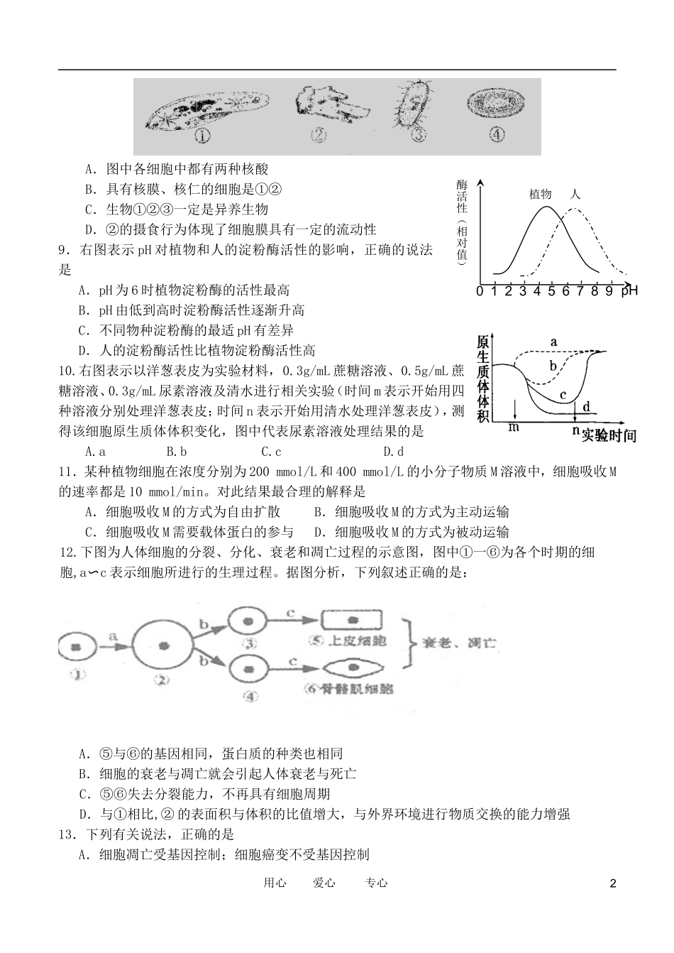 广东省汕头市金山中学2011-2012学年高一生物3月月考试题_第2页