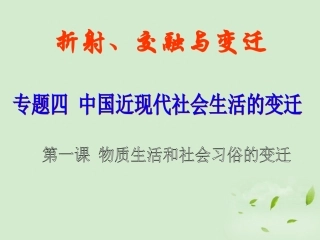 浙江省岱山县大衢中学2012高中历史-专题四《物质生活和社会习俗的变迁》课件-人民版必修2