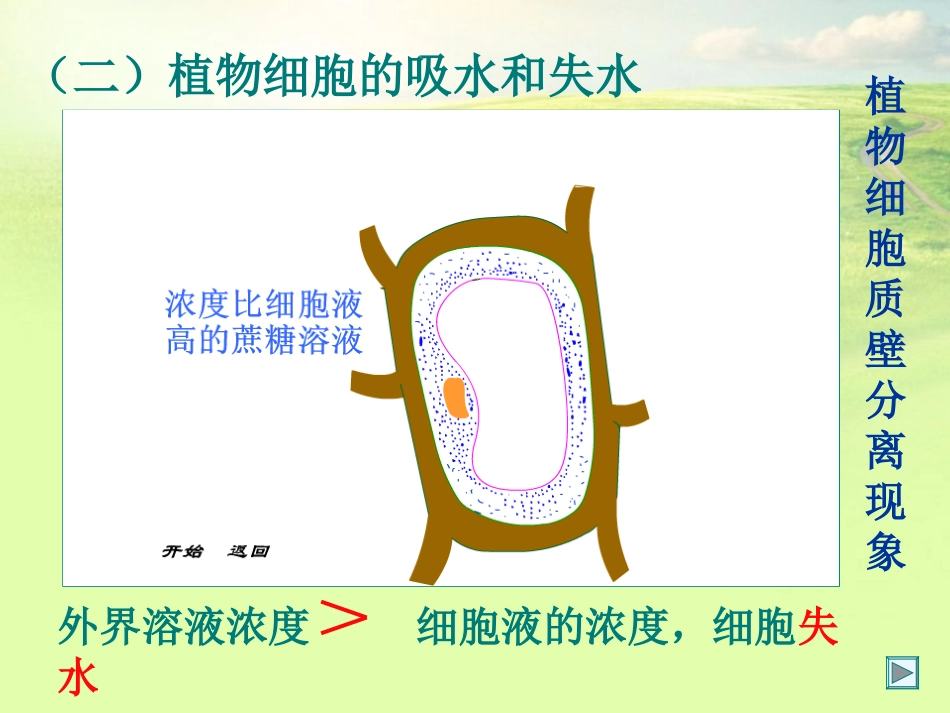 高中生物《第四章-第一节-物质跨膜运输的实例》课件4-新人教版必修1_第3页