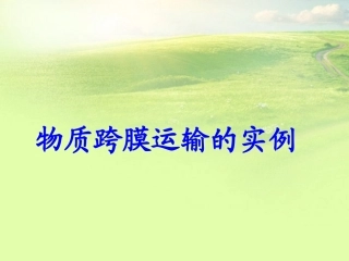 高中生物《第四章-第一节-物质跨膜运输的实例》课件4-新人教版必修1