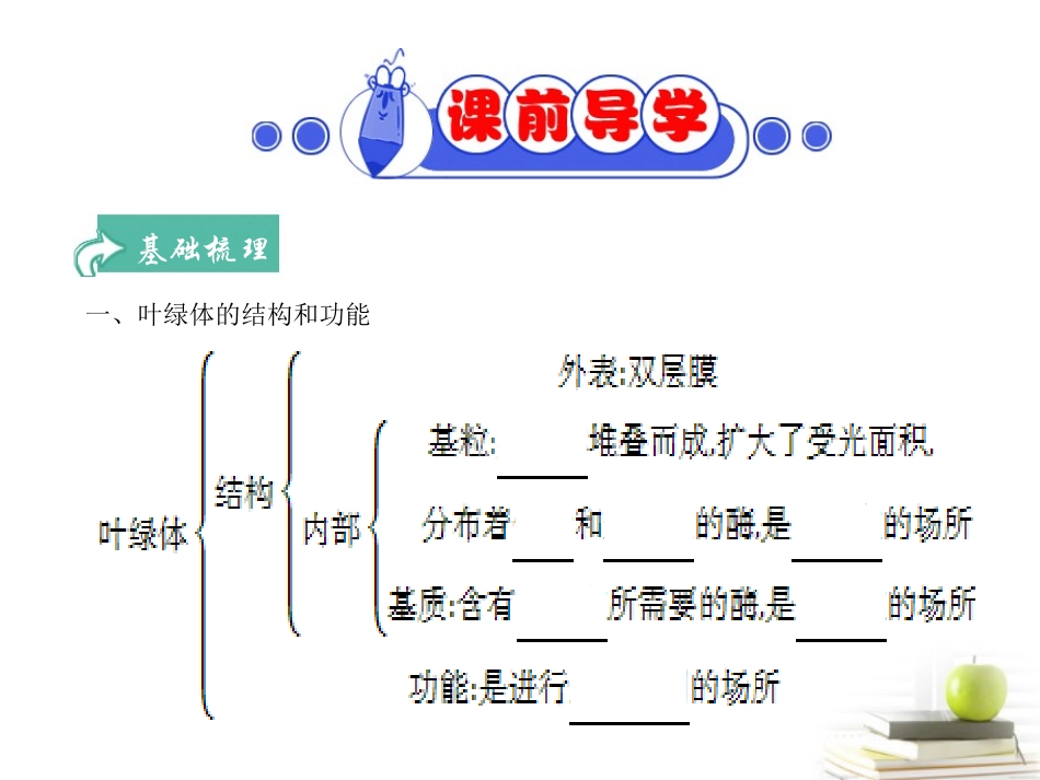 四川省成都市高考生物第五章课件3-新人教版必修1_第3页