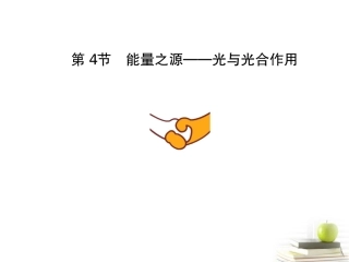 四川省成都市高考生物第五章课件3-新人教版必修1