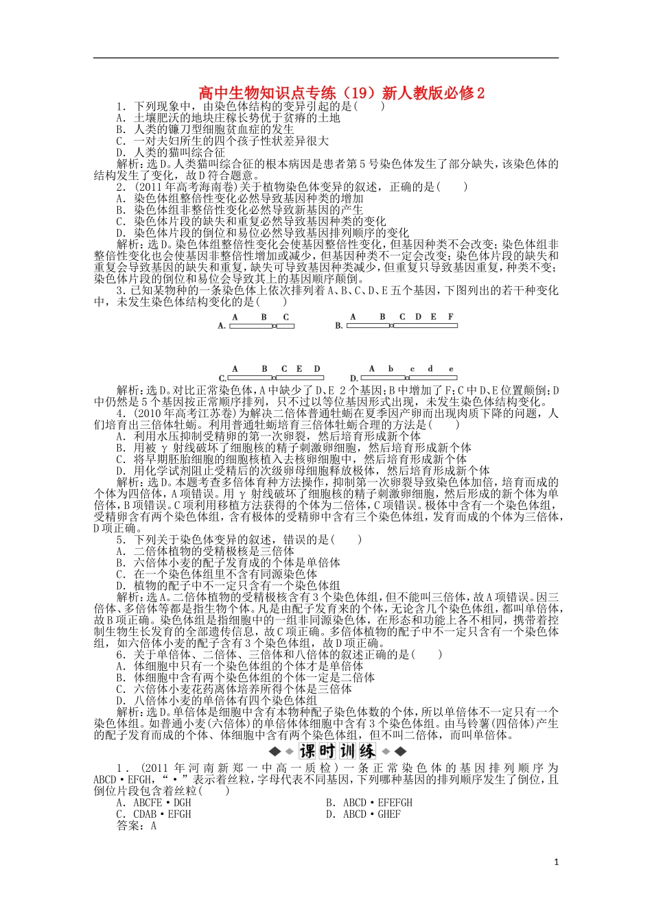 高中生物知识点专练(19)新人教版必修2_第1页