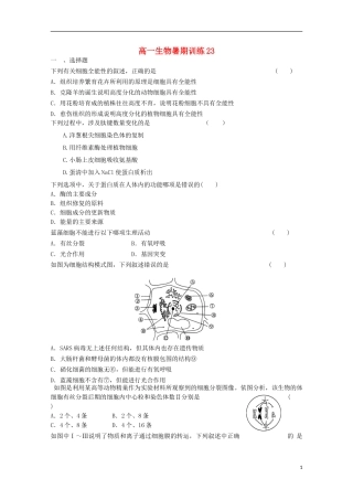 高一生物暑期训练23
