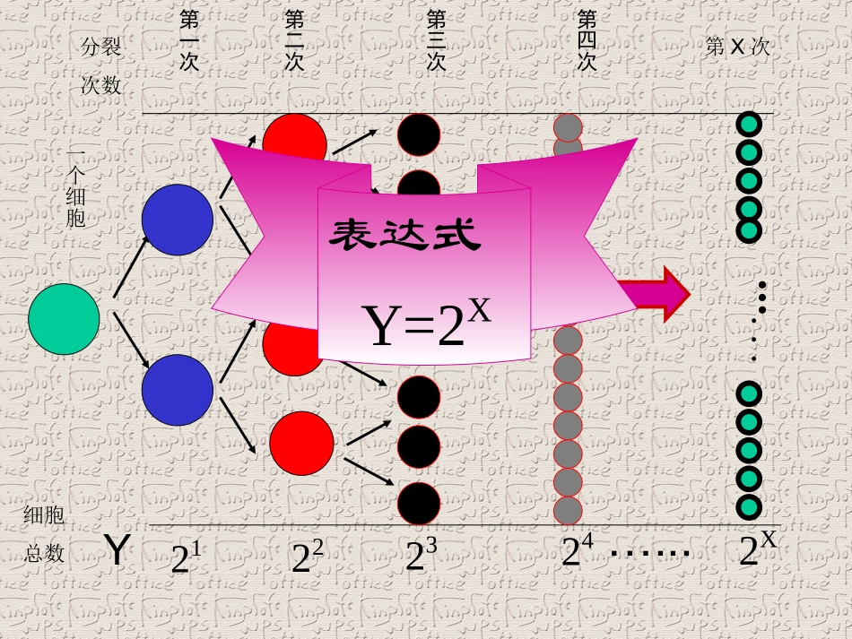 指数函数及其性质(课件)._第3页