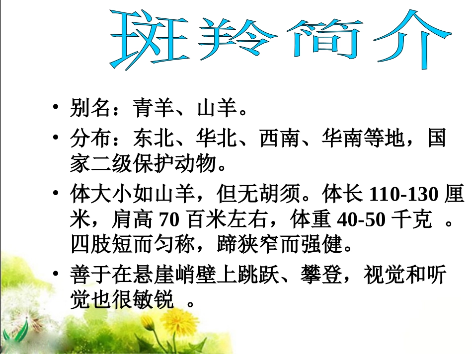 《斑羚飞渡》_第3页
