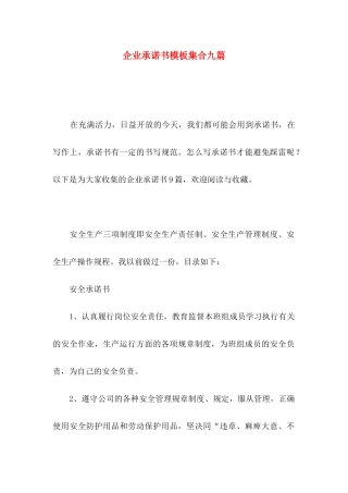 企业承诺书模板集合九篇