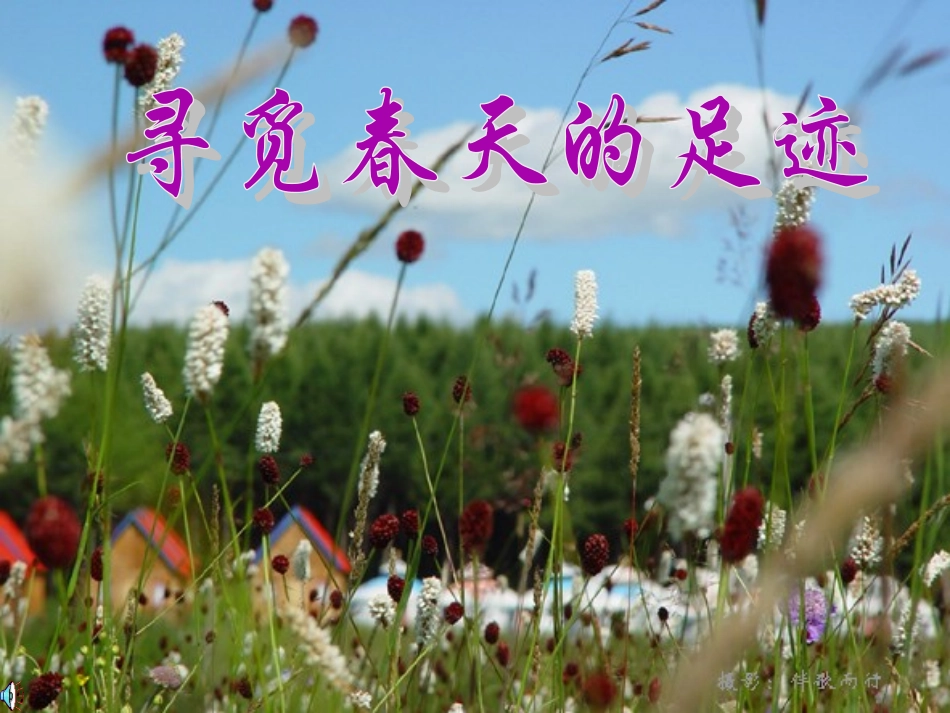 云南省红河州弥勒县庆来学校八年级语文下册《寻觅春天的踪迹》课件-新人教版_第1页