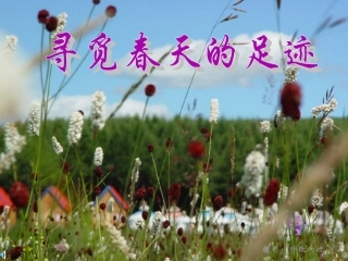 云南省红河州弥勒县庆来学校八年级语文下册《寻觅春天的踪迹》课件-新人教版