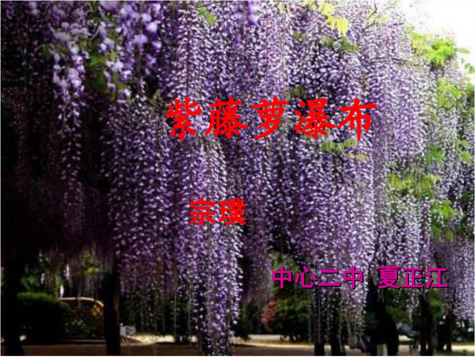 (部编)初中语文人教2011课标版七年级下册人教版2016---七年下册---紫藤萝瀑布----课件_第1页