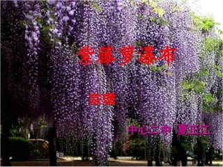 (部编)初中语文人教2011课标版七年级下册人教版2016---七年下册---紫藤萝瀑布----课件