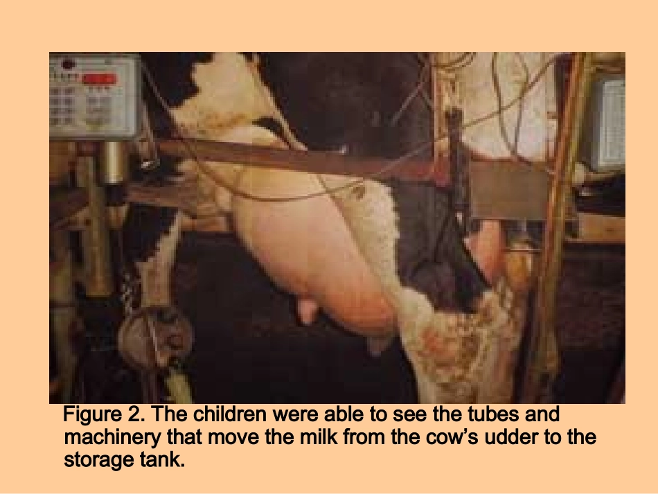 奶牛探究活动_第2页