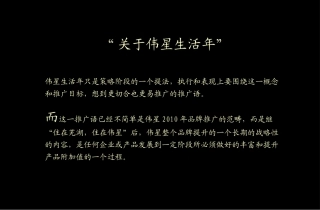 地产营销-伟星生活年活动策划方案