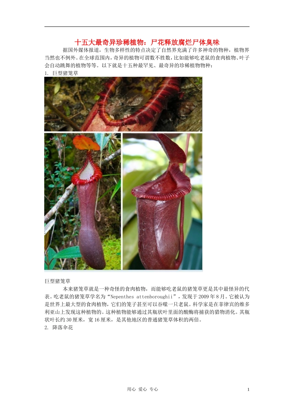 高中生物-十五大最奇异珍稀植物素材_第1页