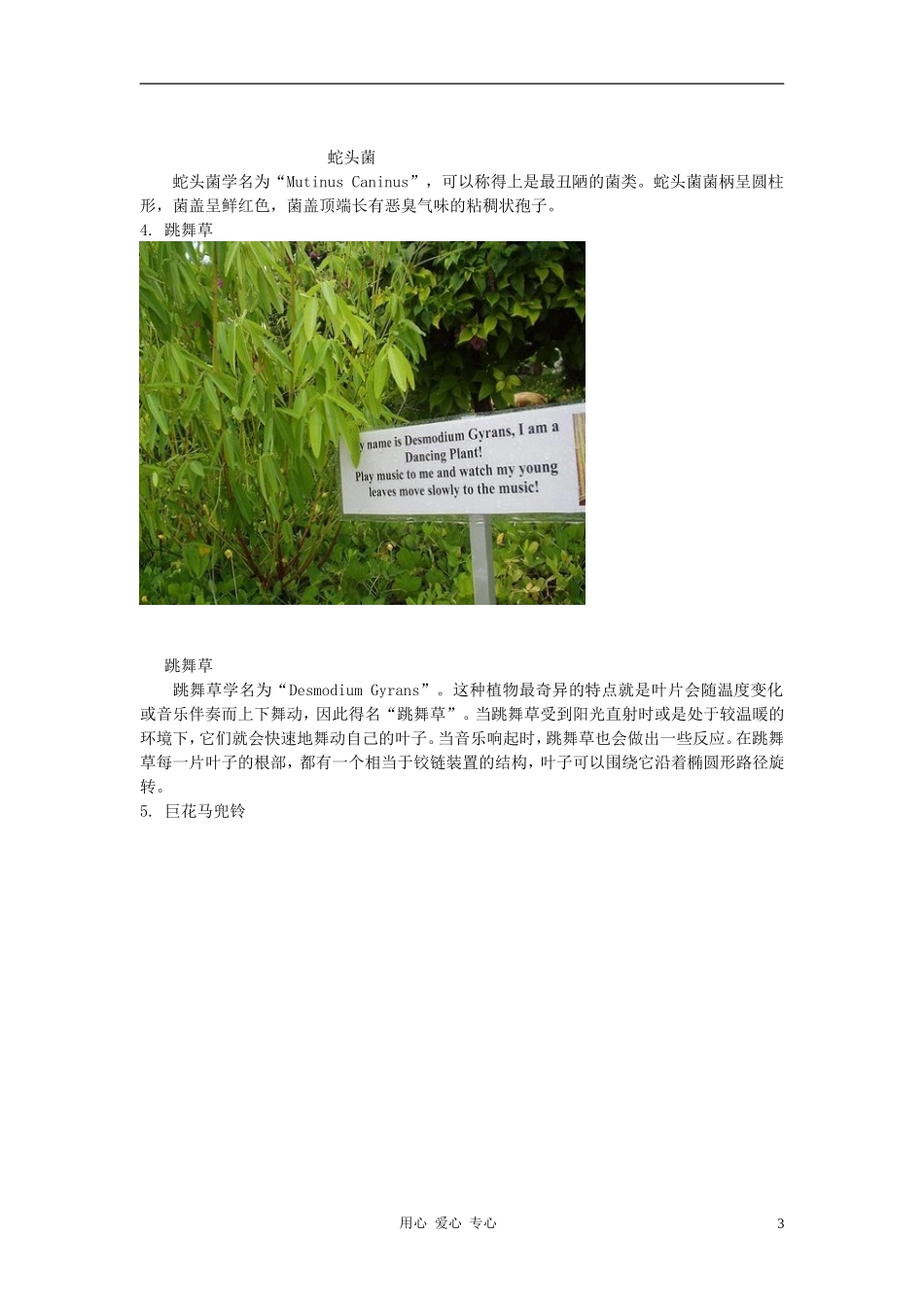 高中生物-十五大最奇异珍稀植物素材_第3页