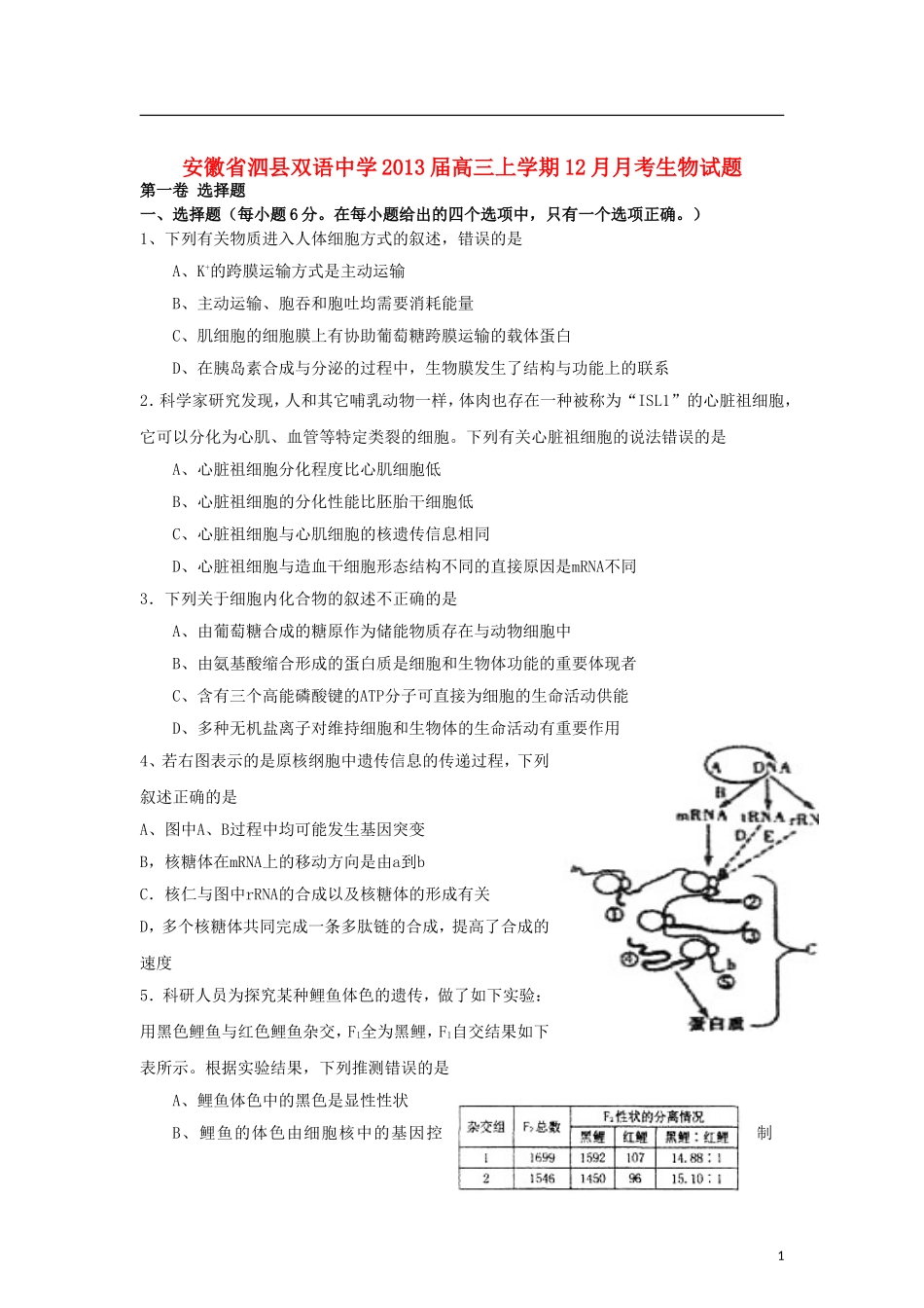 安徽省泗县2013届高三生物上学期12月月考试题新人教版_第1页