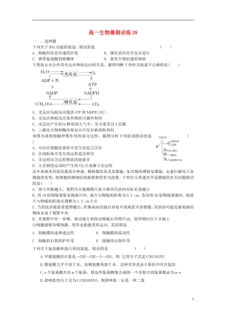 高一生物暑期训练39