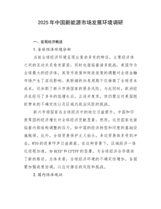 2025年中国新能源市场发展环境调研