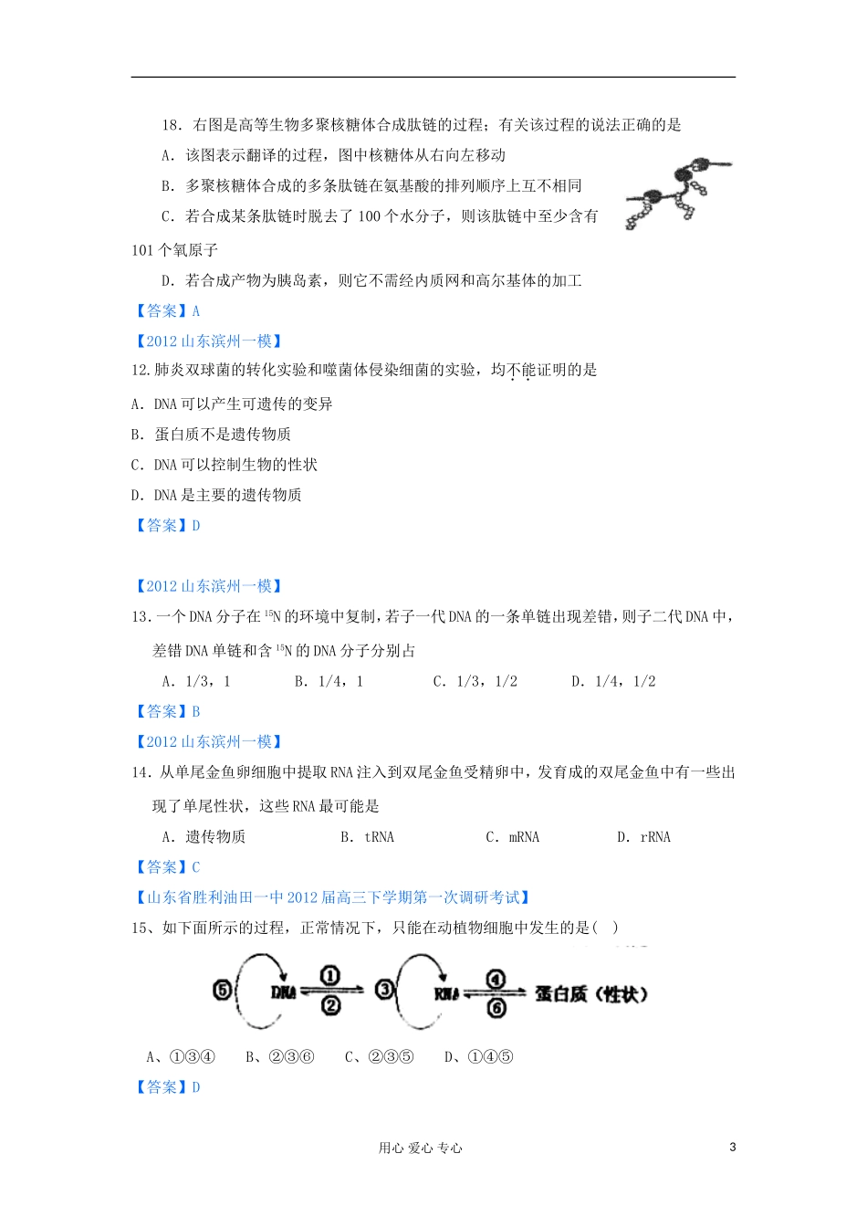 山东省2012年高考生物-各地市最新试题分类汇编13-遗传的物质基础_第3页