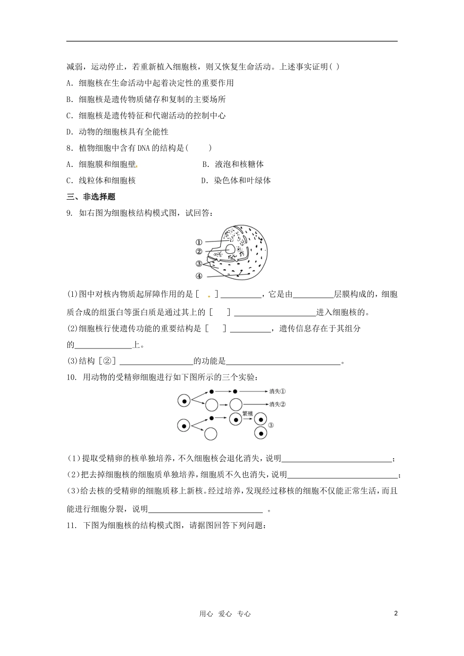 2012高三生物一轮复习-第3节-细胞核——系统的控制中心精练题(含解析)_第2页