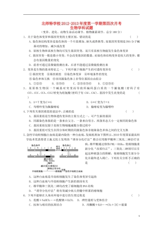 北京市海淀区2013届高三生物第四次月考浙科版