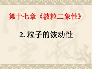 3-粒子的波动性-(3)