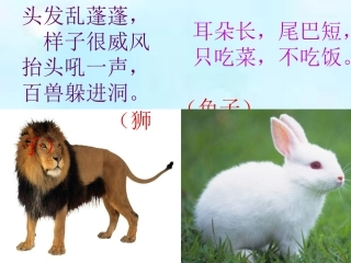 《狮子和兔子》课件.张建方
