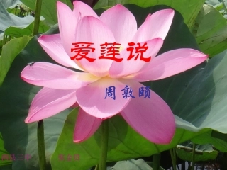 (部编)初中语文人教2011课标版七年级下册《爱莲说》课件