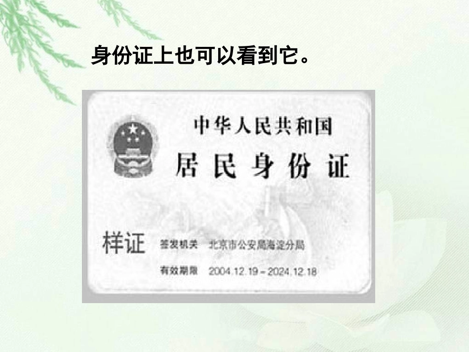 三年级上册《国徽》PPT课件_第3页