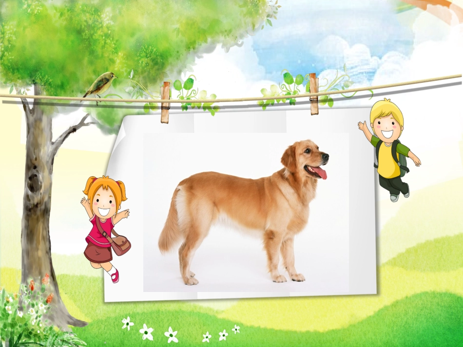 6.给动物分类_第2页