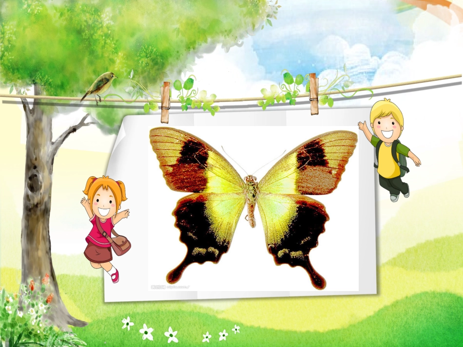 6.给动物分类_第3页