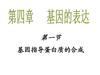 高中生物-基因指导蛋白质的合成课件2-人教版必修2