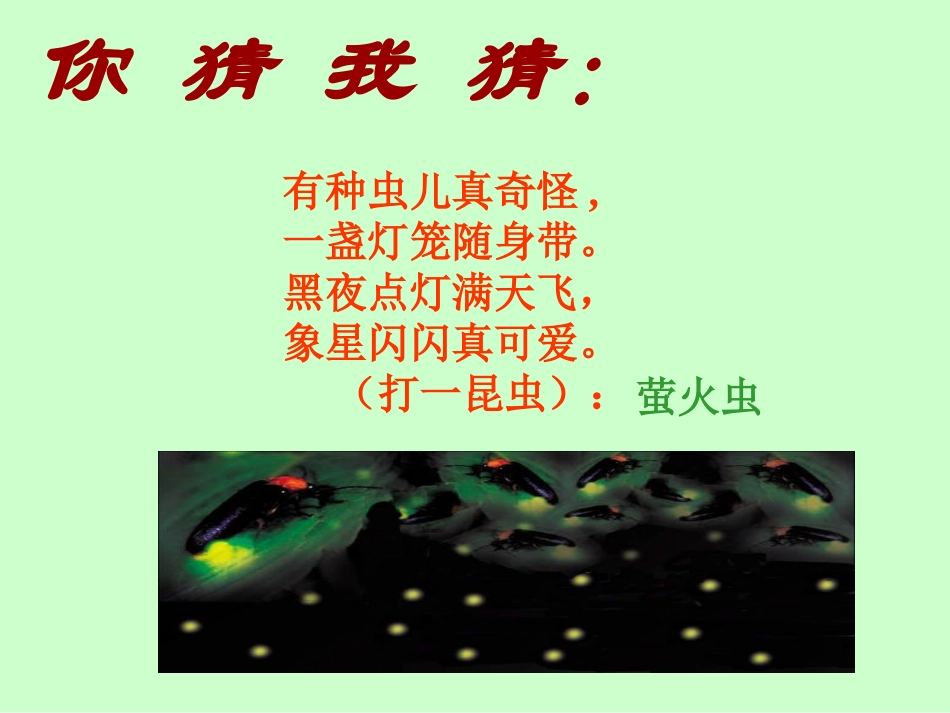 23绿色蝈蝈课件_第1页