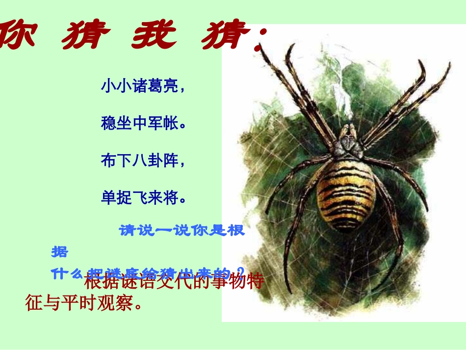 23绿色蝈蝈课件_第2页