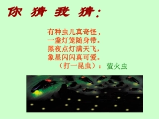 23绿色蝈蝈课件