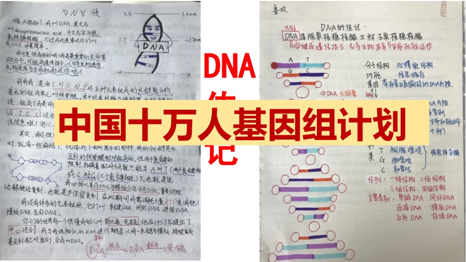 科学前沿-生物信息学-(3)_第2页