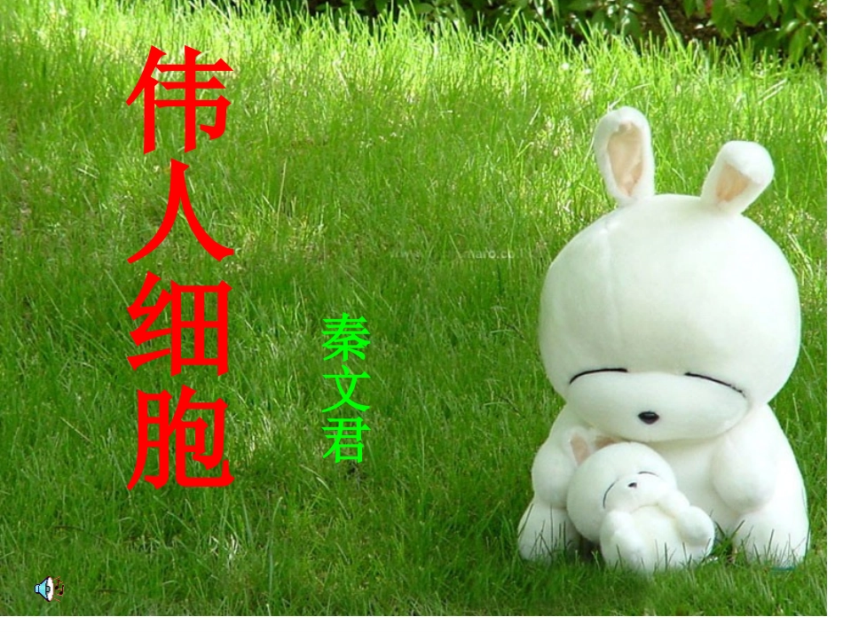 《伟人细胞》课件3_第1页