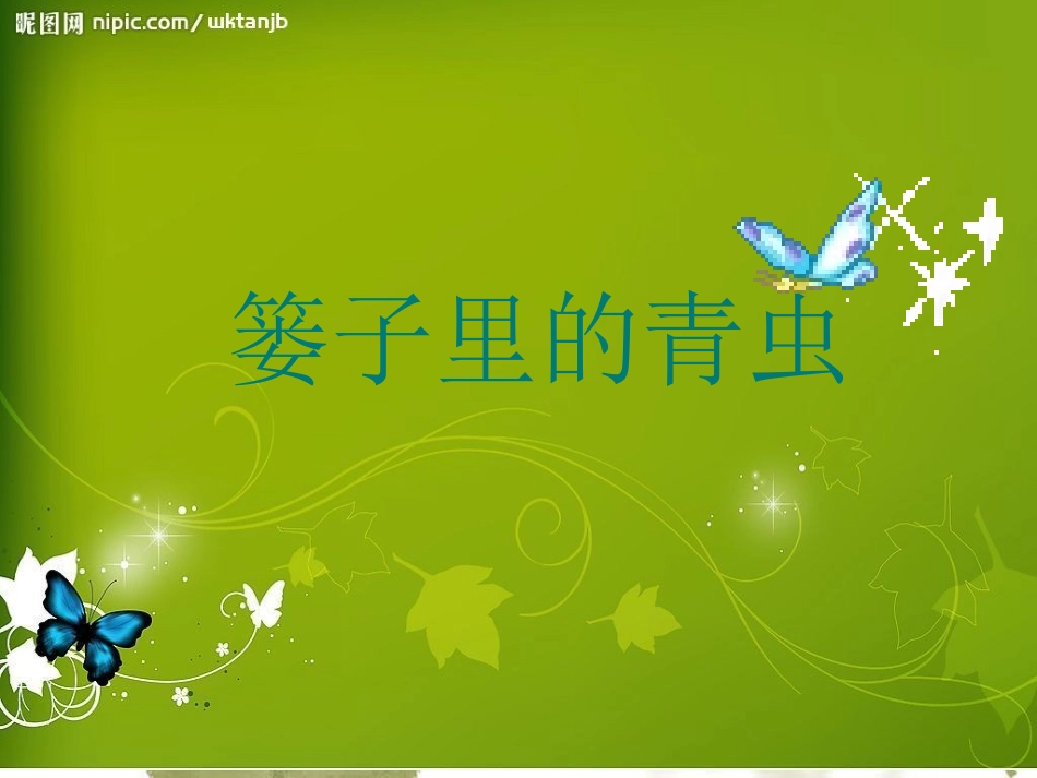 篓子里的青虫-课件_第1页
