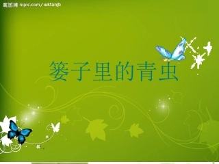 篓子里的青虫-课件