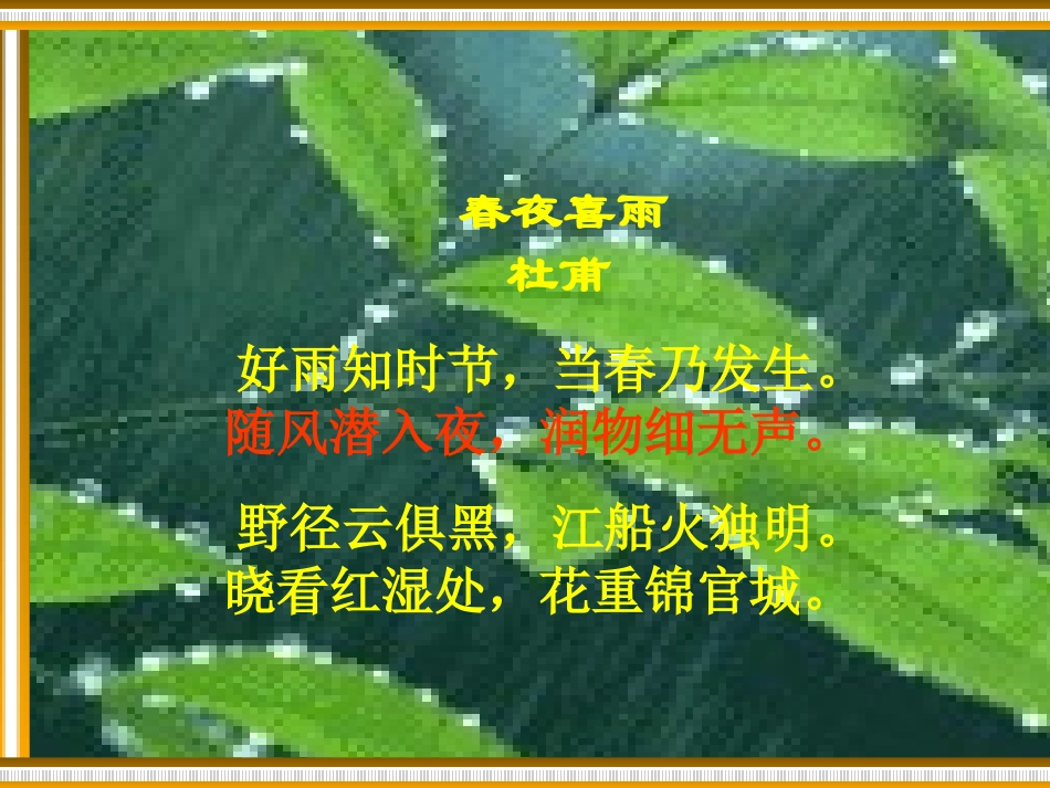 雨说-幻灯片_第3页
